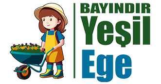 Bayindir Yeşil Ege Peyzaj Bayindir Yeşil Ege Peyzaj